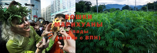 ГАЛЛЮЦИНОГЕННЫЕ ГРИБЫ Михайловка