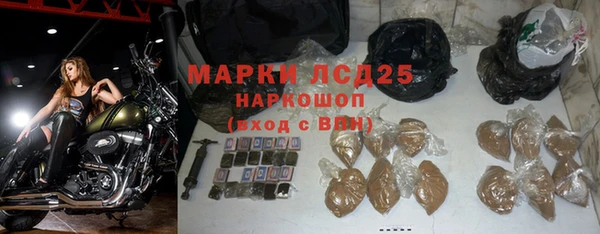 ГАЛЛЮЦИНОГЕННЫЕ ГРИБЫ Михайловка