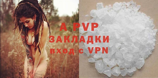 ГАЛЛЮЦИНОГЕННЫЕ ГРИБЫ Михайловка