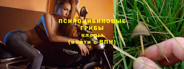 марихуана Михайловск