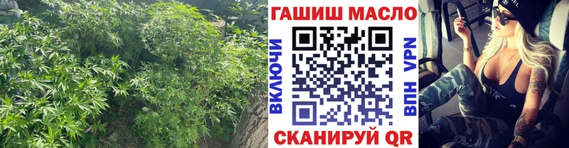 ТГК вейп  сколько стоит  ОМГ ОМГ как зайти  Иноземцево 