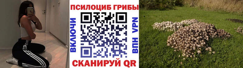 как найти закладки  ссылка на мегу сайт  Псилоцибиновые грибы Cubensis  Иноземцево 